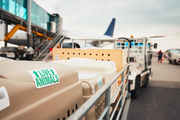 LIVE ANIMALS REGULATIONS TRAINING