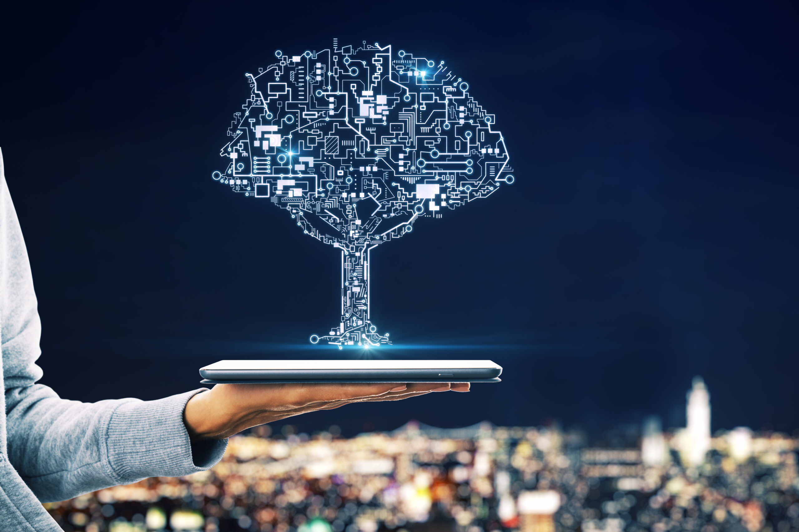 AI+ Sustainability™